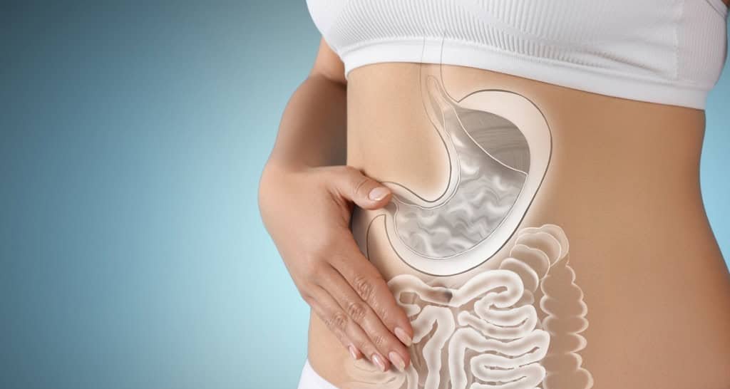 Microbioma Intestinal: Guia Completo sobre as Bactérias que Moldam Saúde, Peso e Alimentação - Imagem do artigo original
