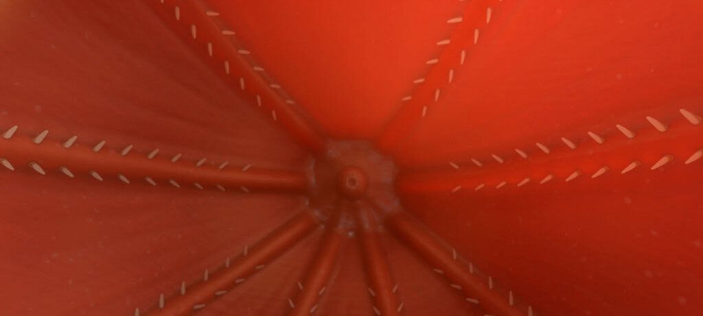 Lula-vampiro e seu Genoma Gigante: o Elo Perdido que Revoluciona a Evolução dos Polvos - Imagem do artigo original