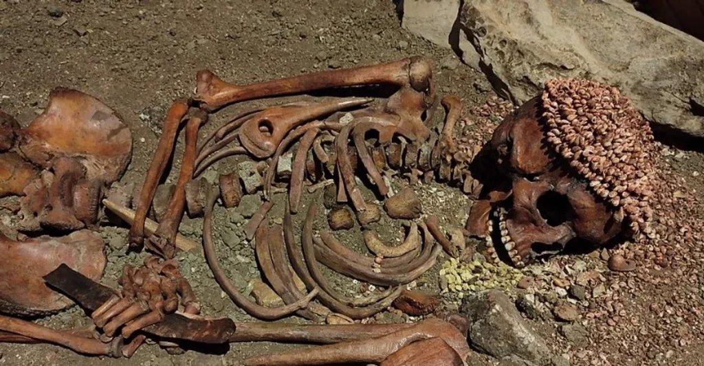 Il Principe de Arene Candide: como um ataque de urso redefiniu nosso entendimento dos rituais funerários do Paleolítico Superior - Imagem do artigo original