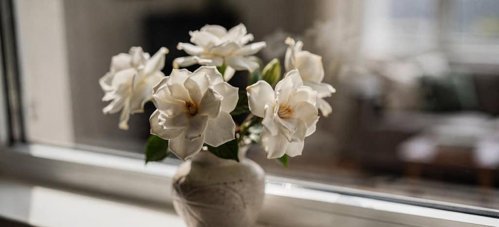 As Flores Mais Perfumadas do Mundo: Guia Definitivo para Cultivar Aroma, Bem-Estar e Beleza em Qualquer Espaço - Imagem do artigo original